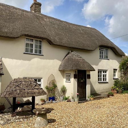 Guest Suite At 31 Little England Milborne Saint Andrew Kültér fotó