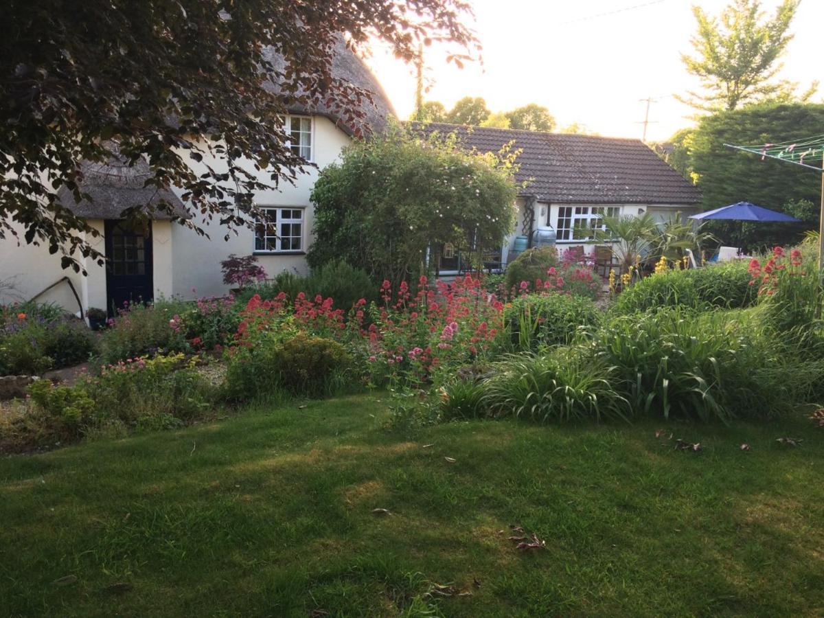 Guest Suite At 31 Little England Milborne Saint Andrew Kültér fotó